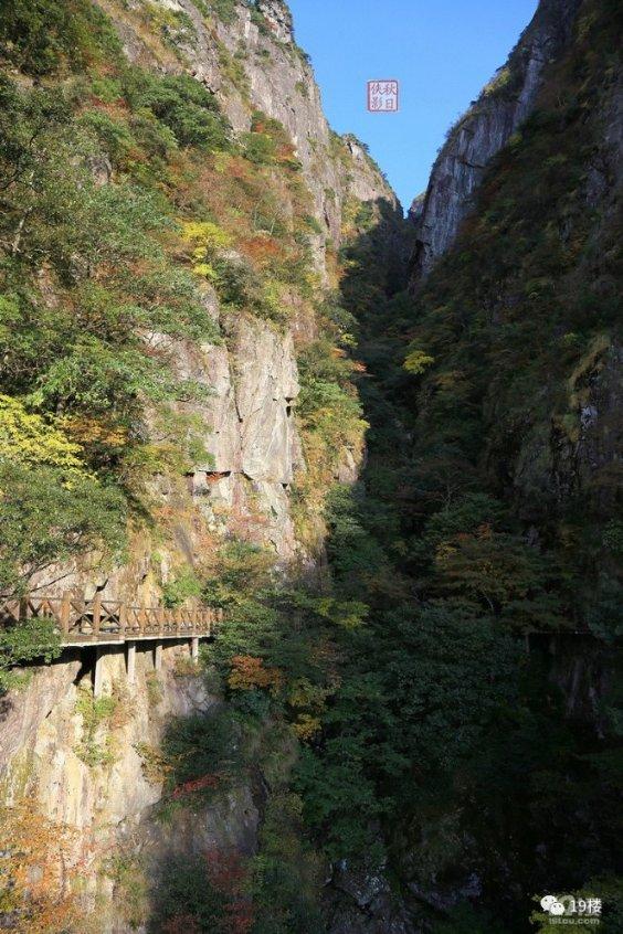 发扬“绿叶”精神,争做新时代忠诚奉献坚守的好干部